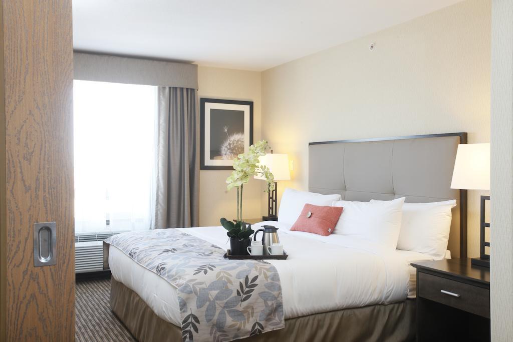 Pomeroy Inn & Suites At Olds College Camera foto